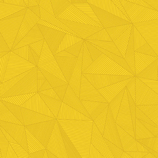 40 - Terra - Yellow Ranger