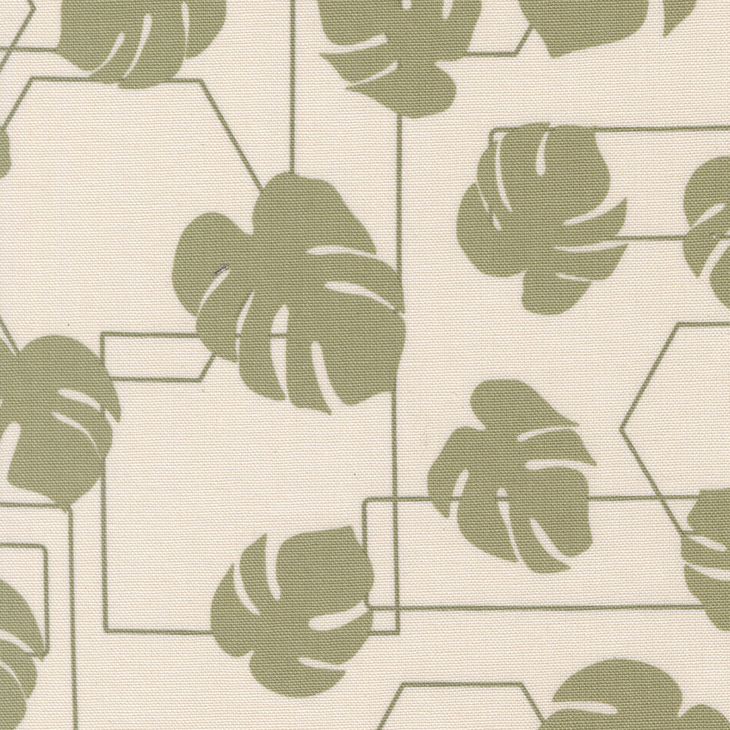 Potted Canvas - Monstra Geo - Stone