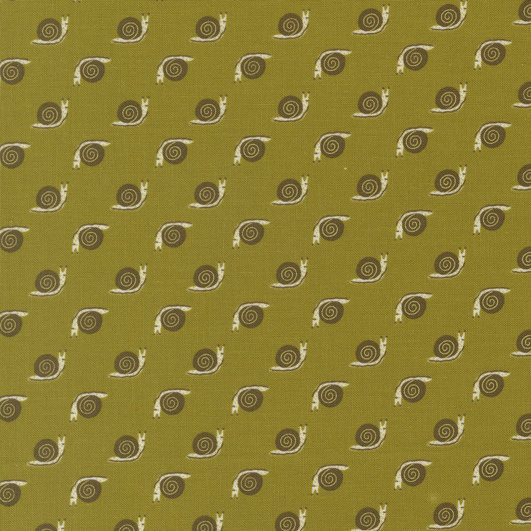 Night Owl - Snail - Fern