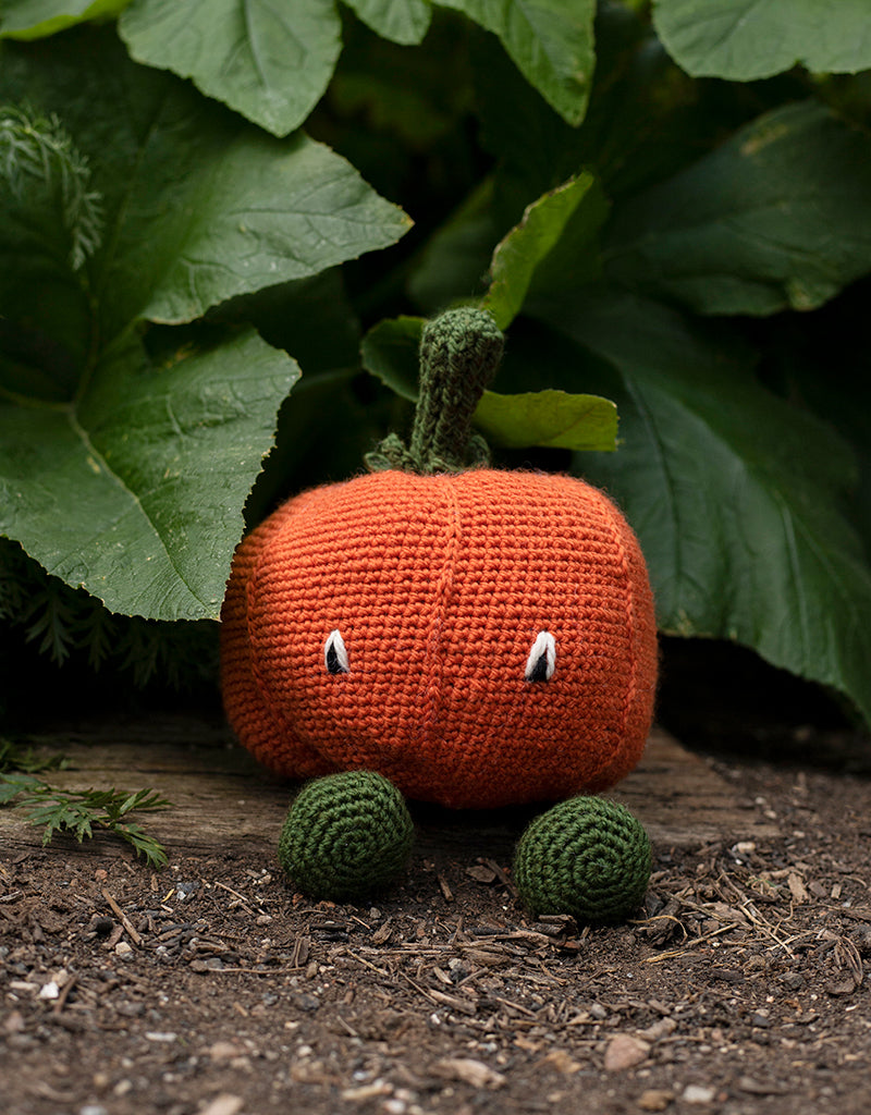 Munchkin Pumkin