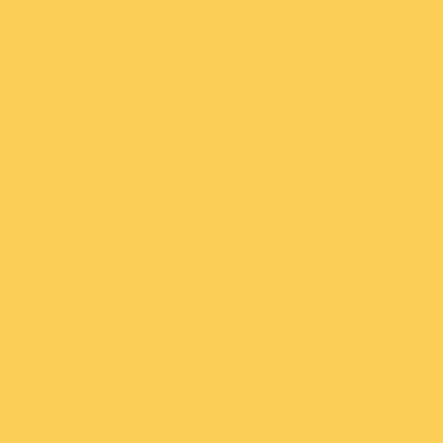 Painters Palette Solids - Bright Yellow