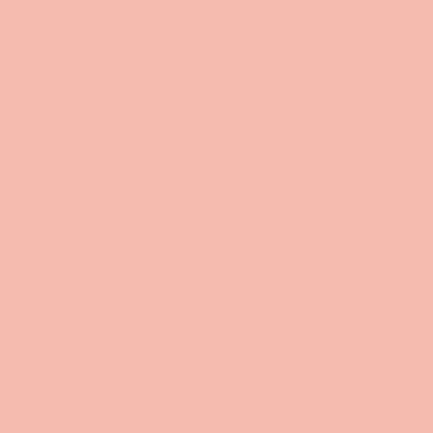 Painters Palette Solids - Rose