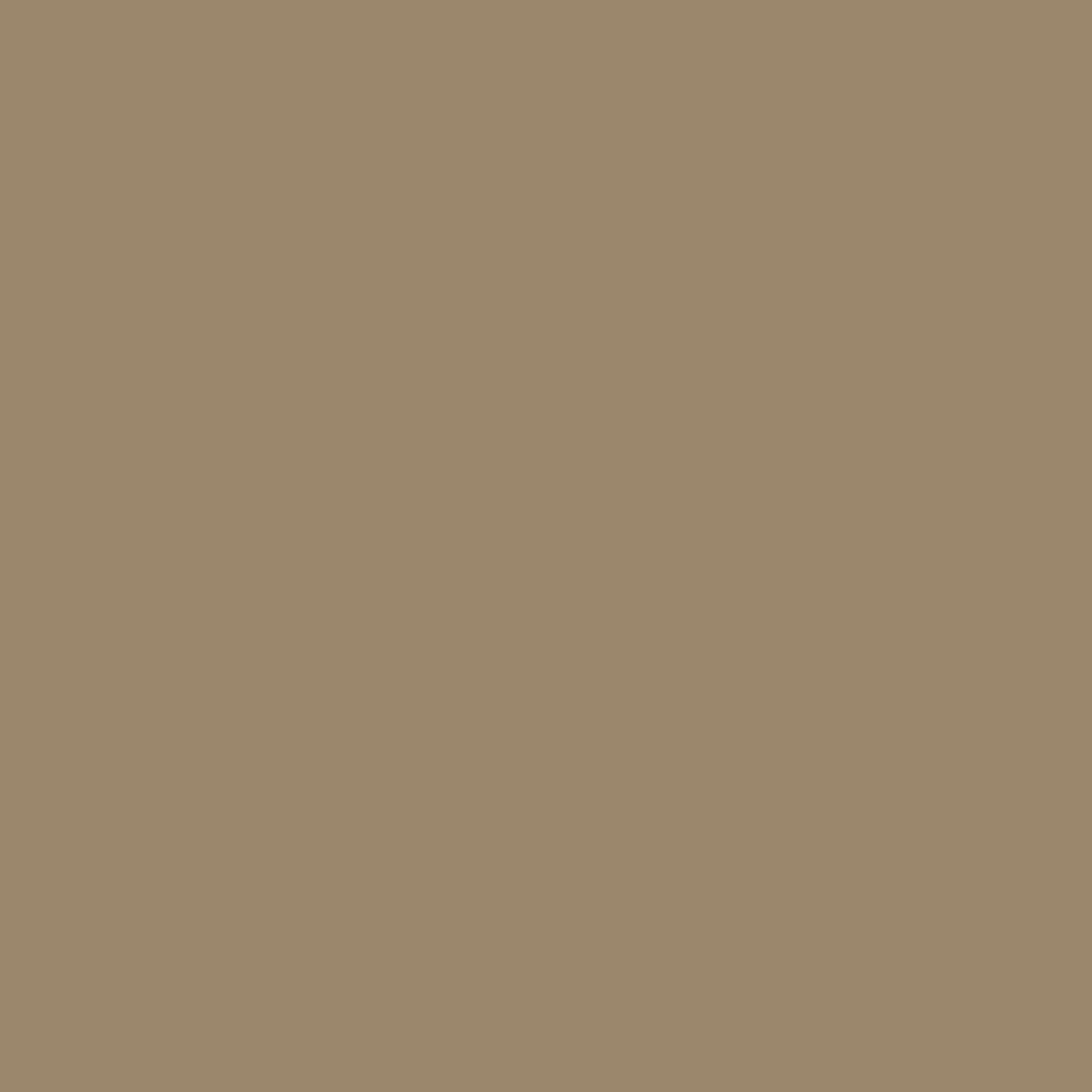 Painters Palette Solids - Taupe