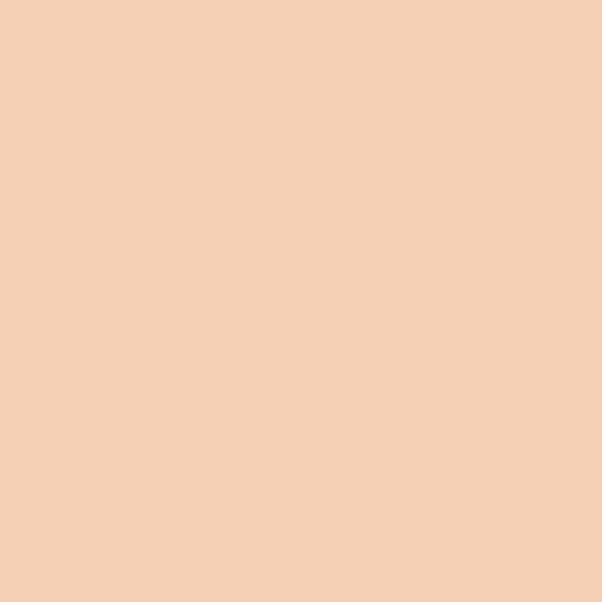 Painters Palette Solids - Peach