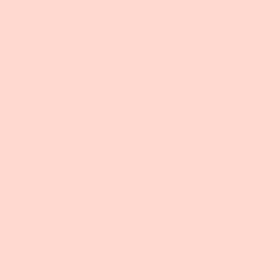 Painters Palette Solids - Shell Pink