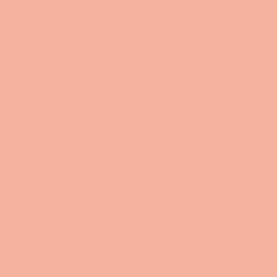 Painters Palette Solids - Coral