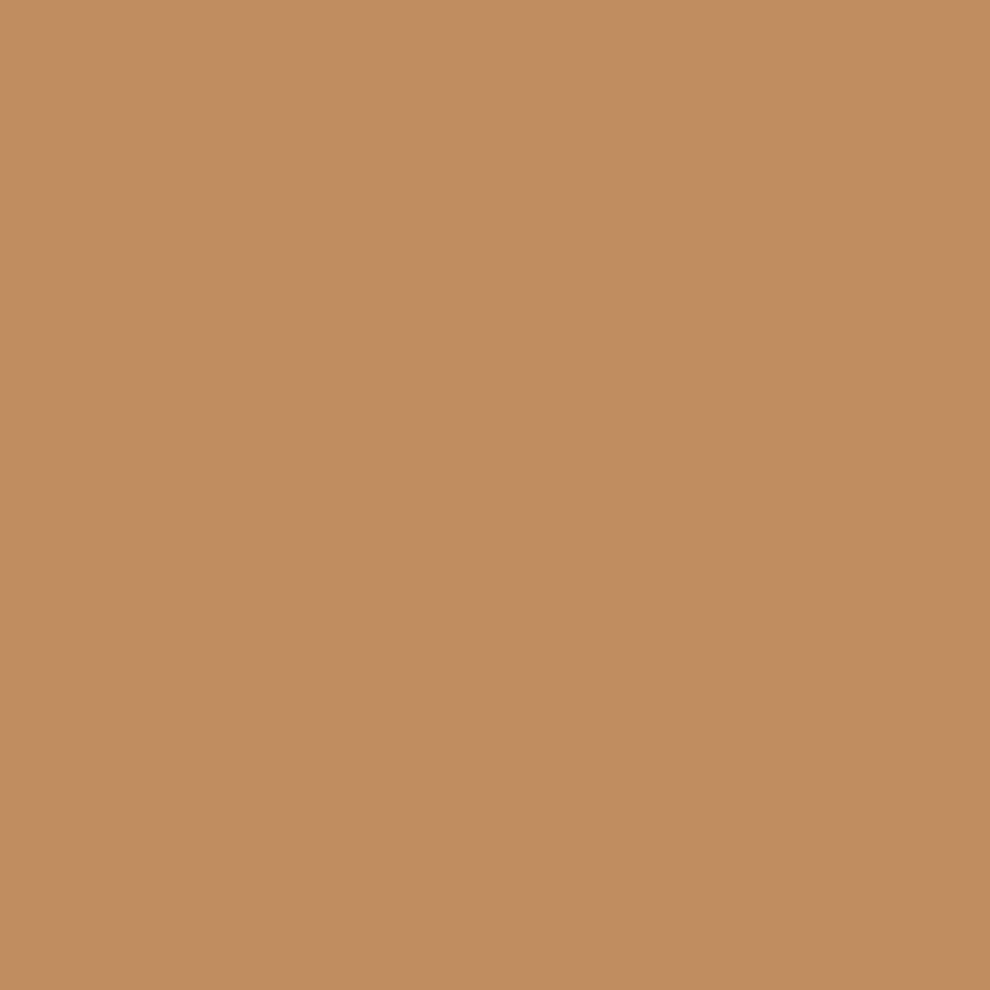 Painters Palette Solids - Wheat