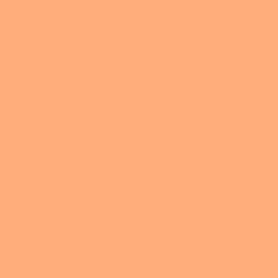 Painters Palette Solids - Apricot