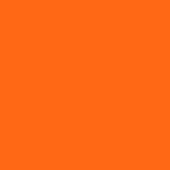 Painters Palette Solids - Carrot