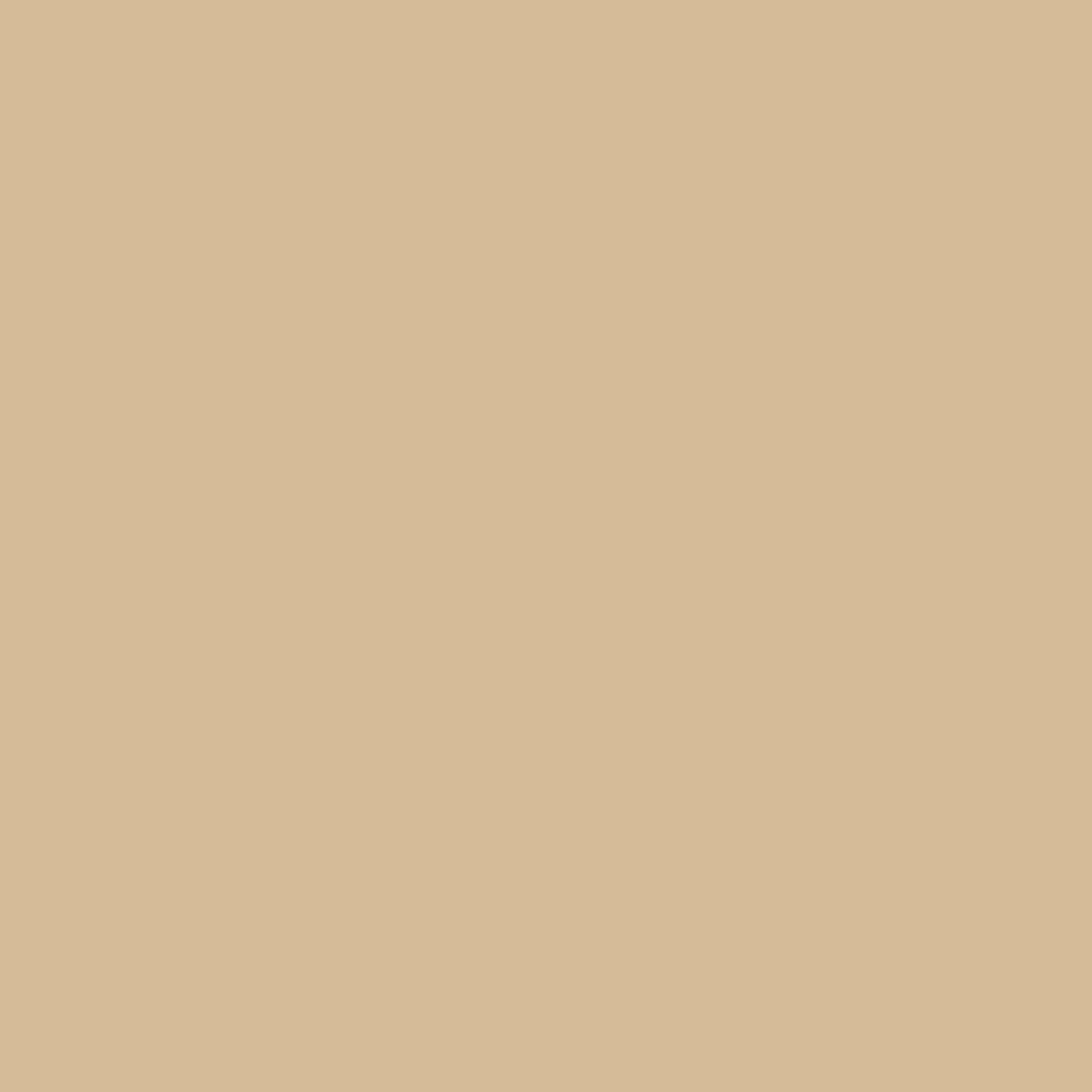 Painters Palette Solids - Ivory