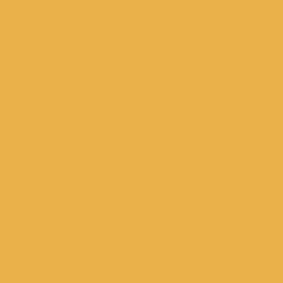 Painters Palette Solids - Golden Rod