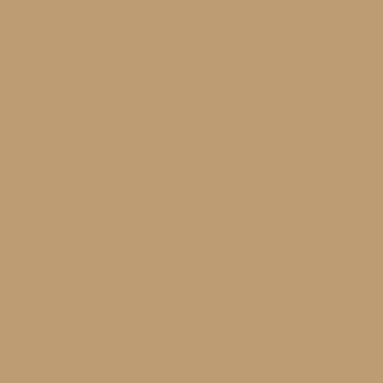 Painters Palette Solids - Sand Dollar