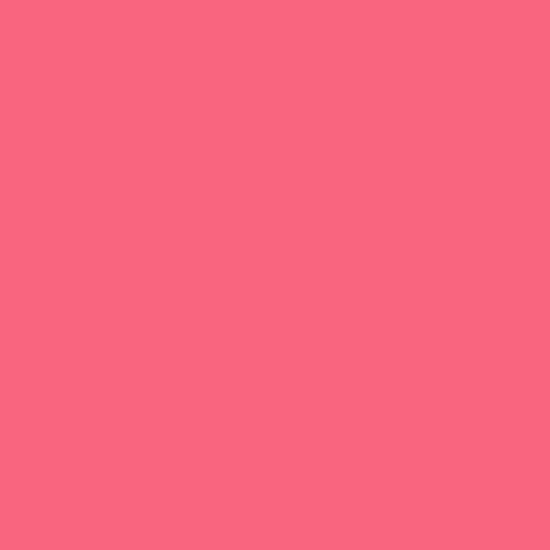 Painters Palette Solids - Hot Pink