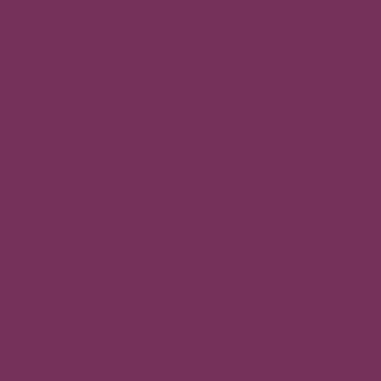 Painters Palette Solids - Grape