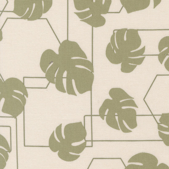 Potted Canvas - Monstra Geo - Stone