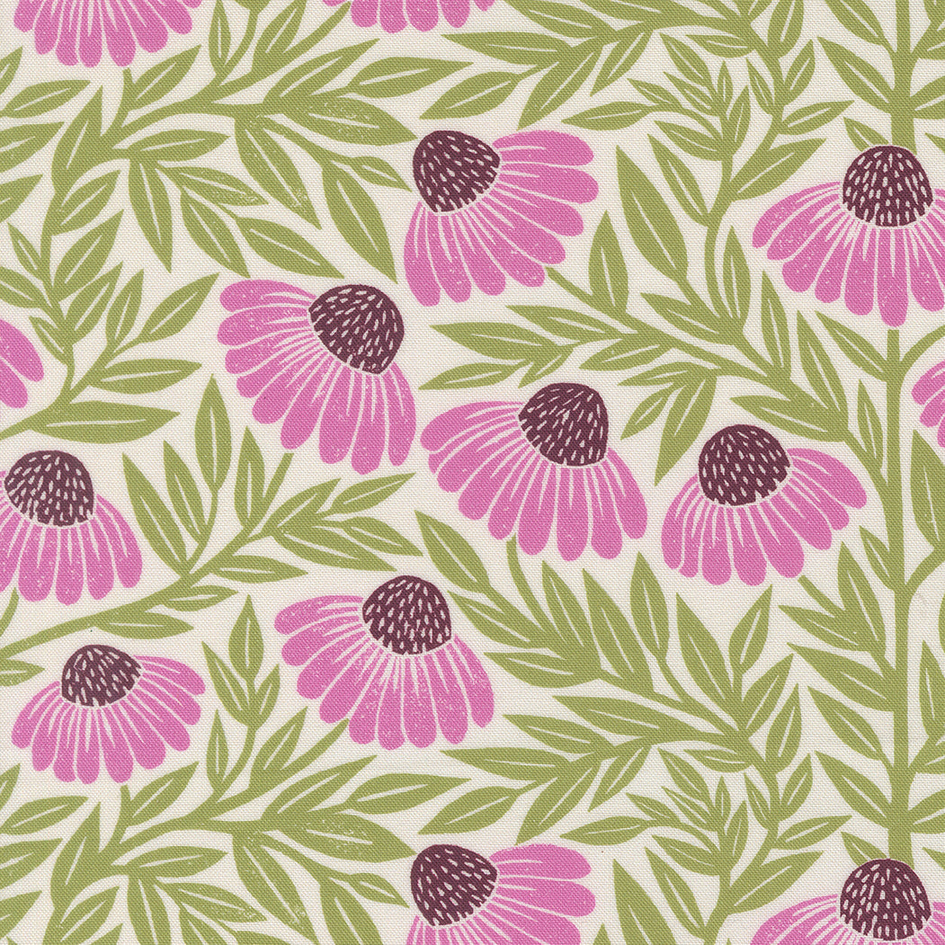Garden Series - Echinacea - Cream