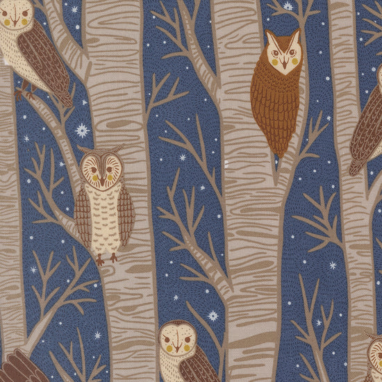 Night Owl - Owl - Dusk