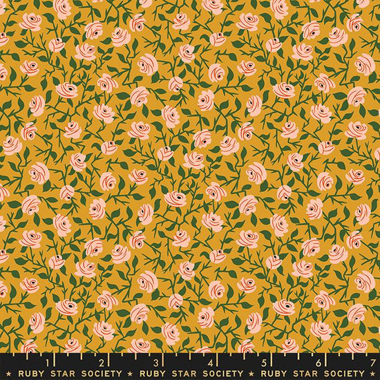 Load image into Gallery viewer, Brambling Rose Florals Cactus
