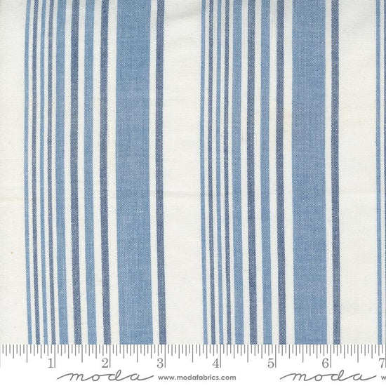 Denim Daisies - Daisy Stripe