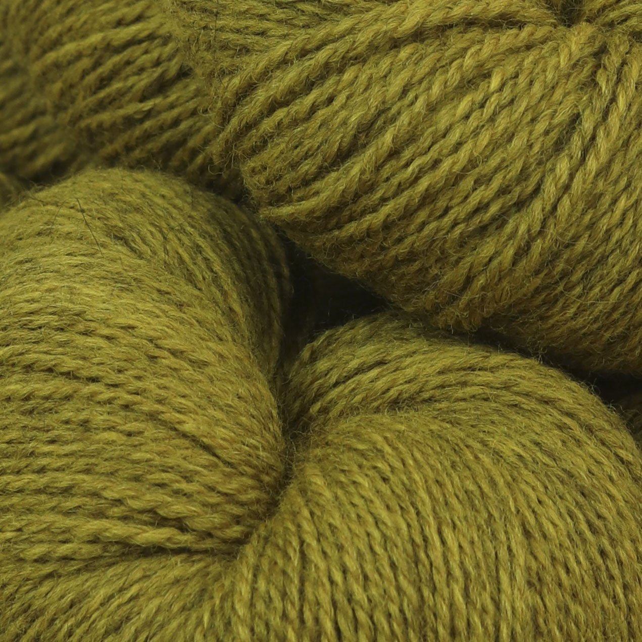 Amble 25g Mini