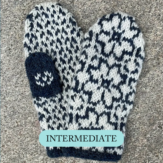 04/10* Blue Mustard Mittens