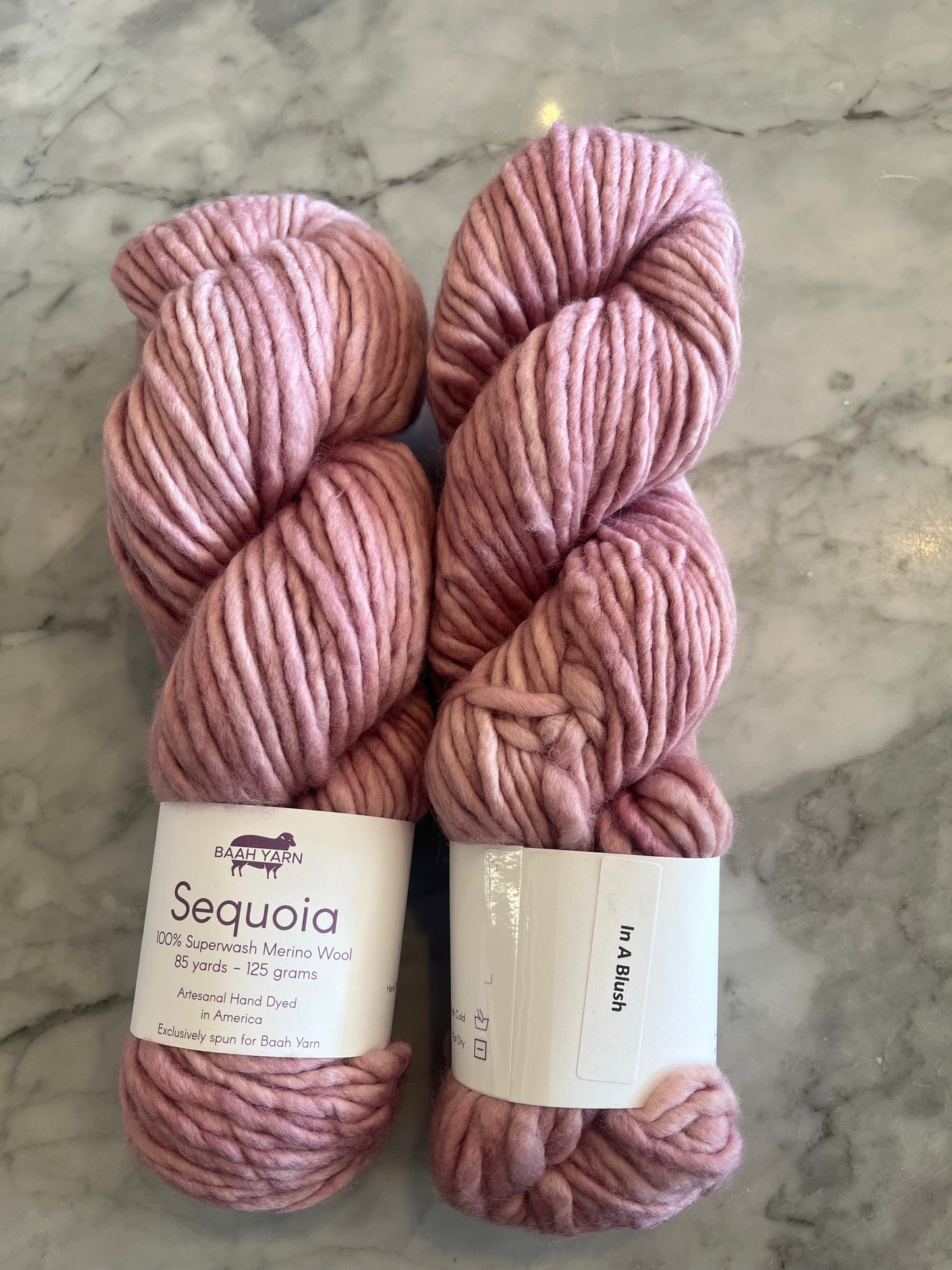 Sequoia