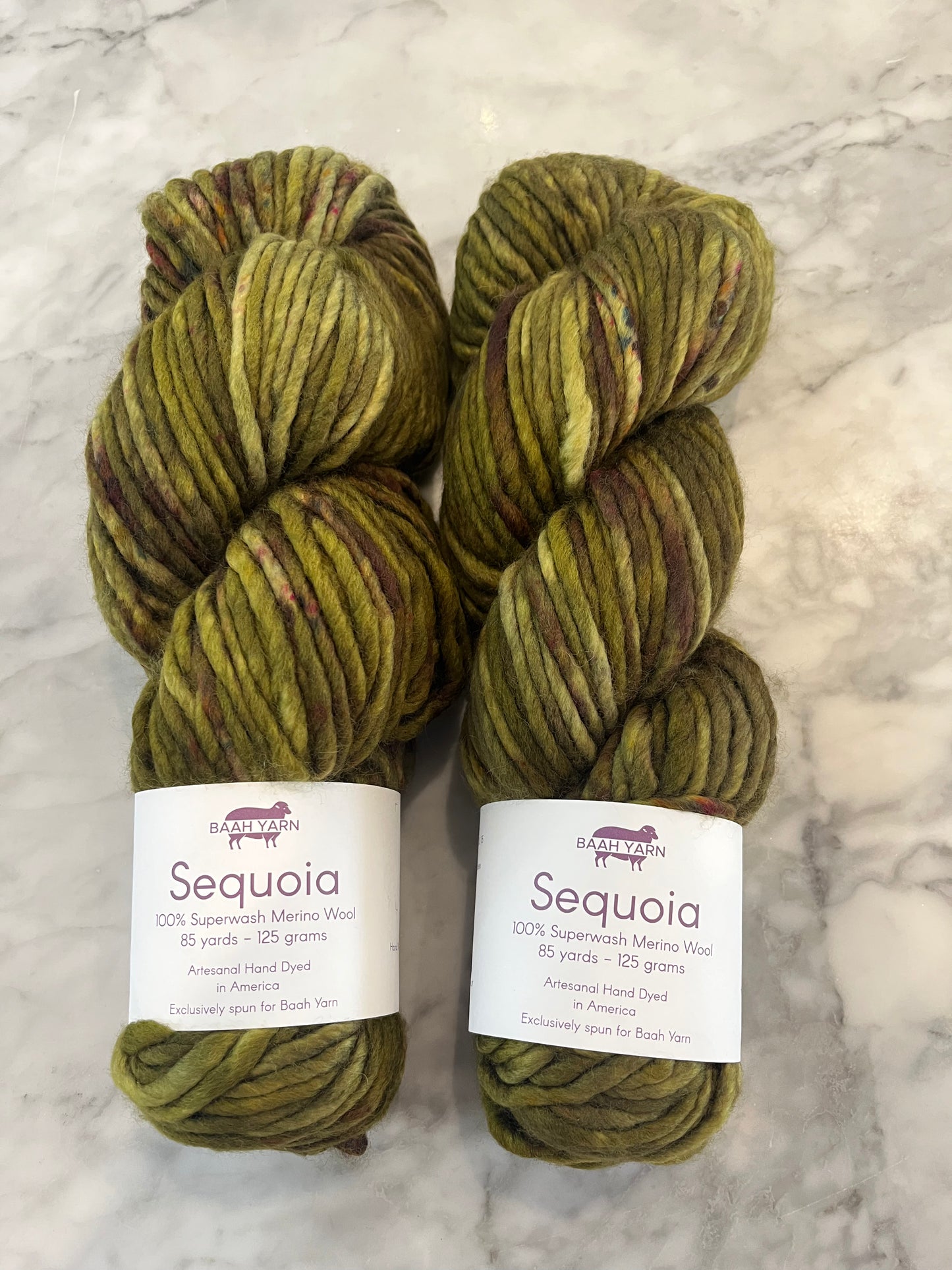 Sequoia