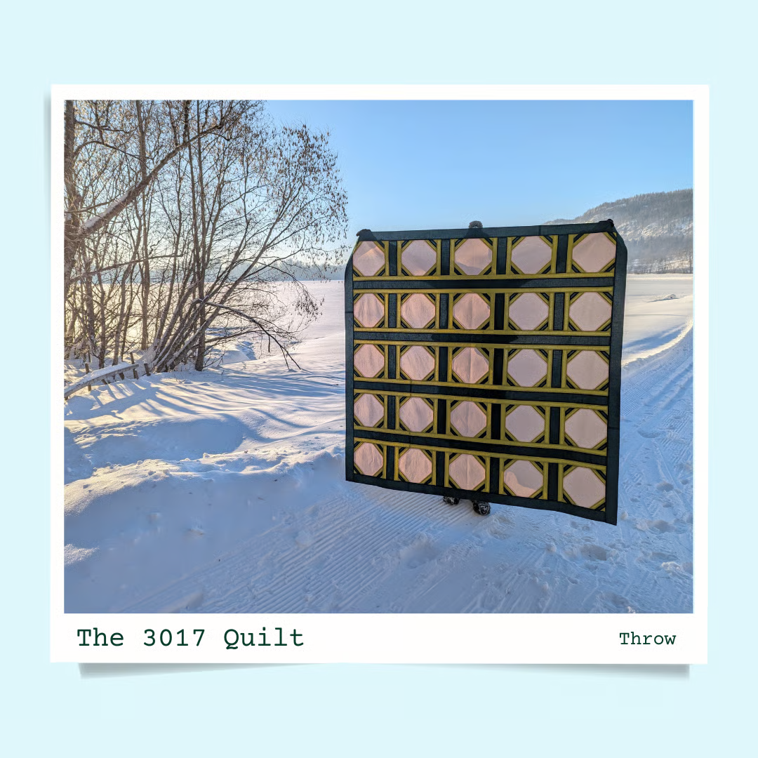 The 3017 Quilt