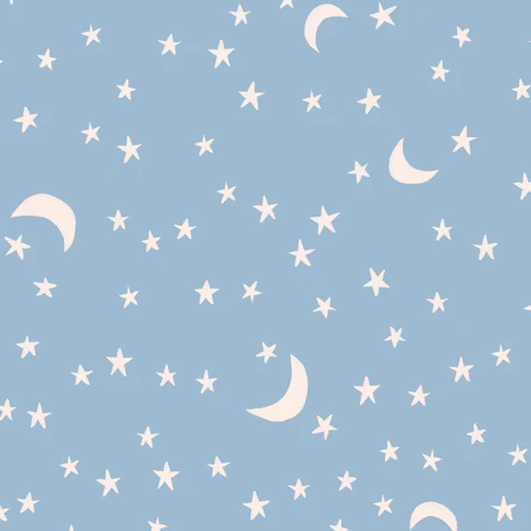 House Mouse - Moonlit Night - Blue