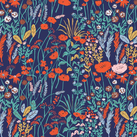 House Mouse - Meadow