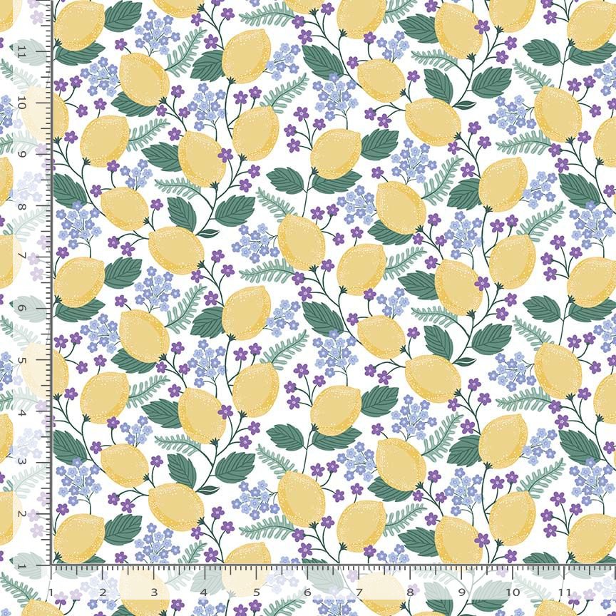 To Bee or Not to Bee - Squeeze the Day