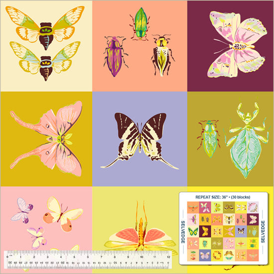 Insectarium - Square Dance - Panel