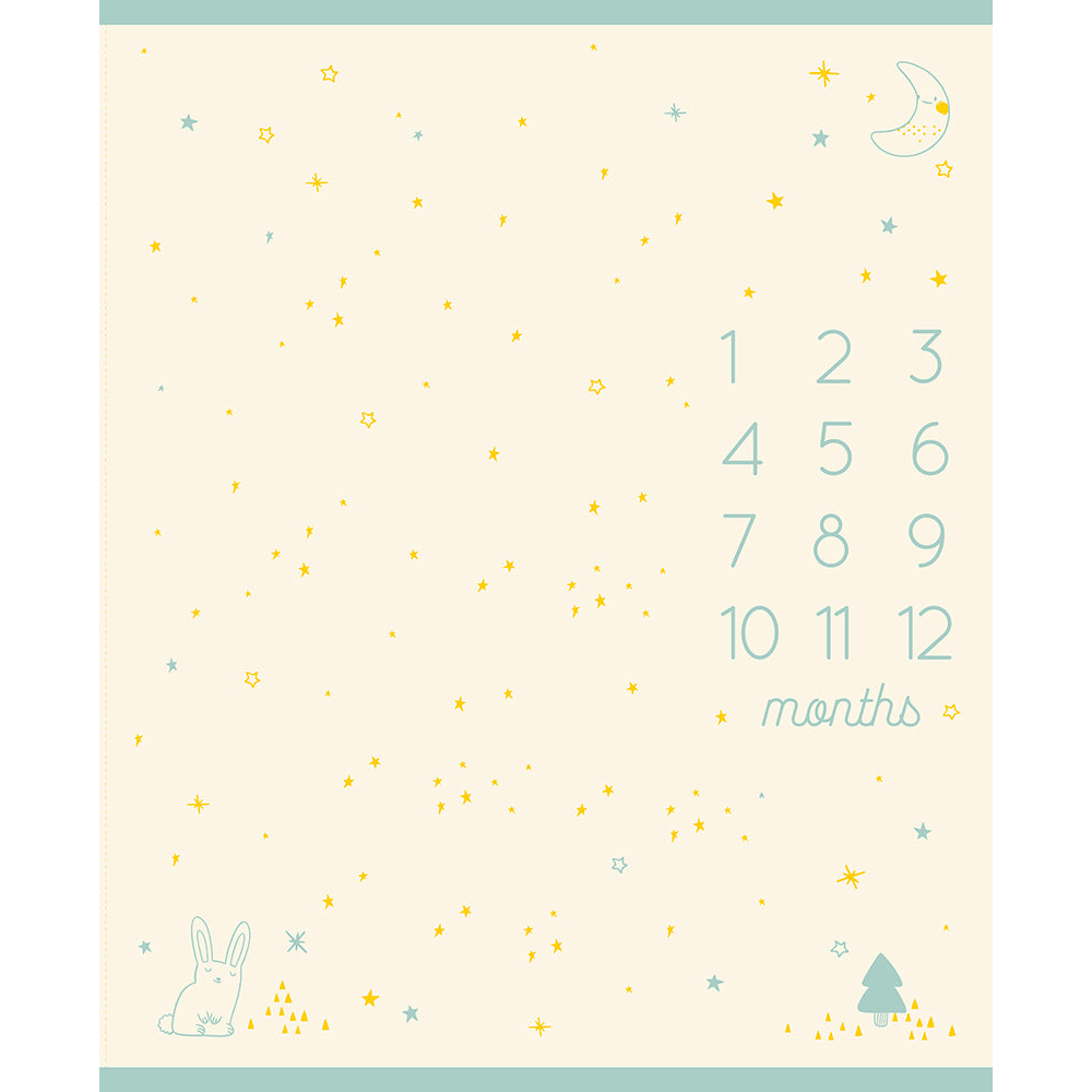 Birthday Hats Buttercream - Milestone Panel