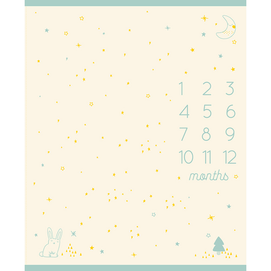 Birthday Hats Buttercream - Milestone Panel