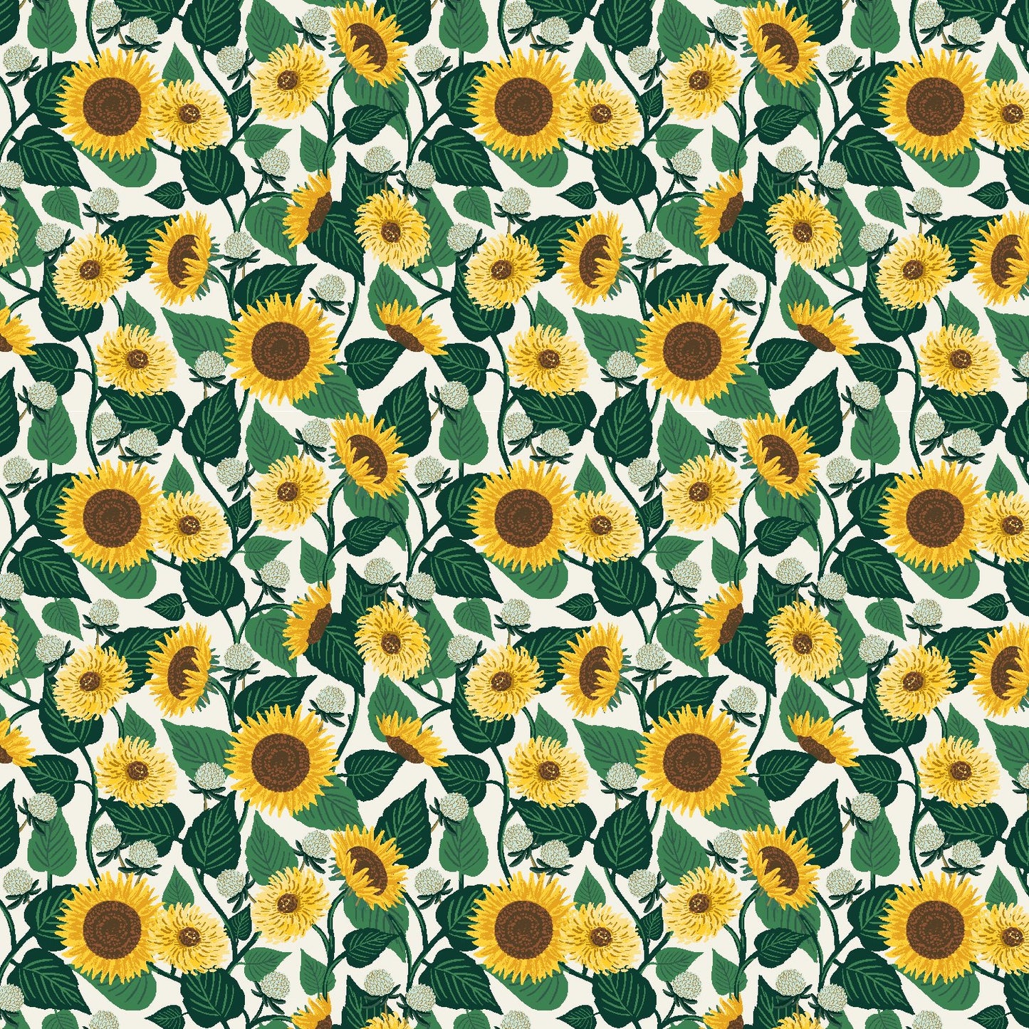 Curio - Sunflower Fields - Cream